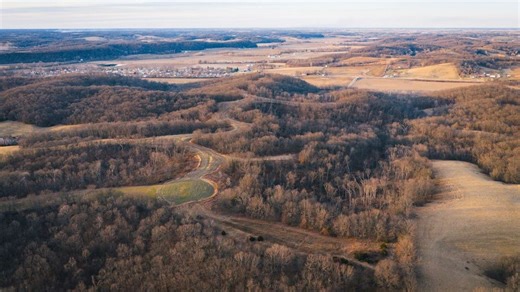 Secluded Hunting Tract In Southern Pike County | Whitetail Properties