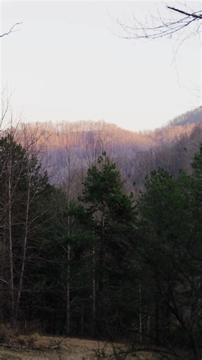 🏡 Discover cozy cabins, crackling fires, and chill mountain evenings this cozy season in Jackson County, NC.🌌 Plan your next fireside escape and explore savings 👉 https://bit.ly/3JjmRXd | North Carolina Mountain Towns of Cashiers, Cherokee, Dillsboro, and Sylva