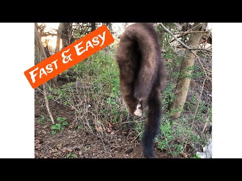 Breaking A Tanned Hide (Part 2)