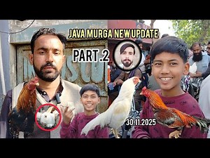 Lalukhet Murga market update 30.11. 2025 Han fancy chicks & Java Murga and paper white Murga Sunday