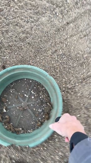 Let’s see if everyone is behaving in the chicken yard. 🐥LINKS🐥 My Website: https://www.ChickenChick.com Winter Chicken Care: https://the-chicken-chick.com/surviving-winter-with-chickens/ My episode on The Drew Barrymore Show: https://youtu.be/VTXXIQl0mWsy 🐥SHOP🐥 My Amazon Product Picks: https://amzn.to/3Qj96Xb Treadle Feeder: https://amzn.to/4q5XWXe Heated drinker: https://amzn.to/4bKLwfx Handcrafted Soaps: https://bit.ly/3oAGyKC The Chicken Chick's Hen Mating Saddle™ : http://bit.ly/2uKD0y4