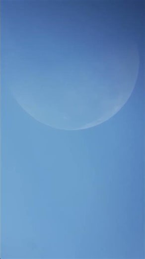 I Was Streaming the Moon… Then THIS Bird Flew Across 🌙🐦