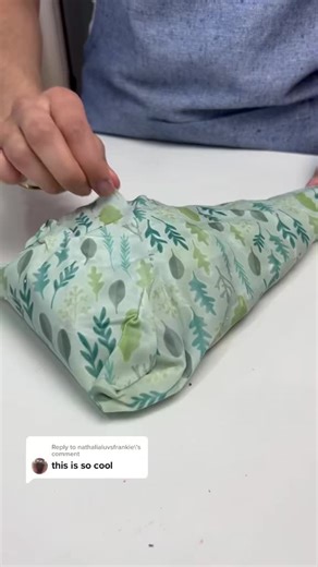 Nature Bee on TikTok