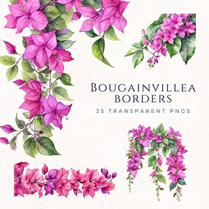Pink and Purple Bougainvillea Border Watercolor Clipart PNG, Floral Garland Graphics for Scrapbooking and Cardmaking, BOU003 - Etsy