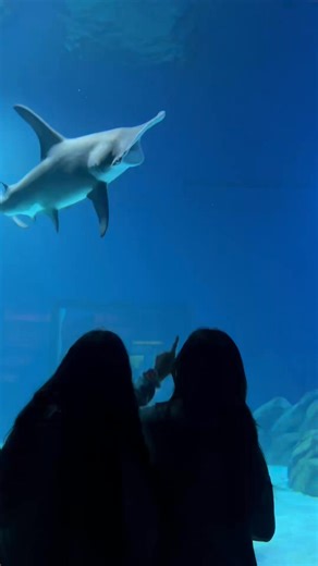 ❄️Hey Atlanta! We're Perfect for Winter Break! ❄️ The kids are out of school for Winter Break and it's a great time to visit! 🐠 Fewer crowds, regular hours, and a great way to get out of the cold! 🐠 🎟️ Get your tickets or Aqua Pass today! | Georgia Aquarium
