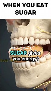 What actually happens inside your body when you eat sugar?