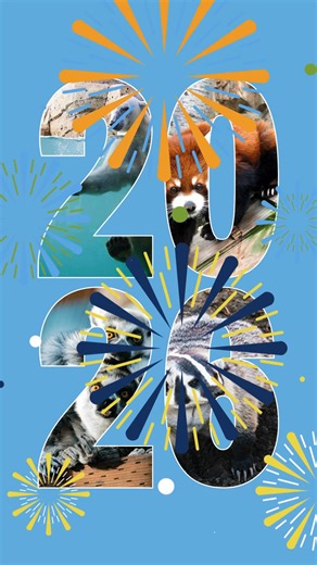 2026 is almost here! 🐾 From new adventures to favorite zoo moments, we can’t wait to share another wild year with you. | Henry Vilas Zoo