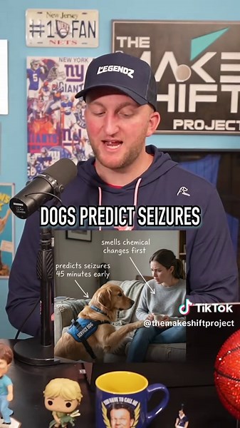 6 Things Your Dog Knows About You