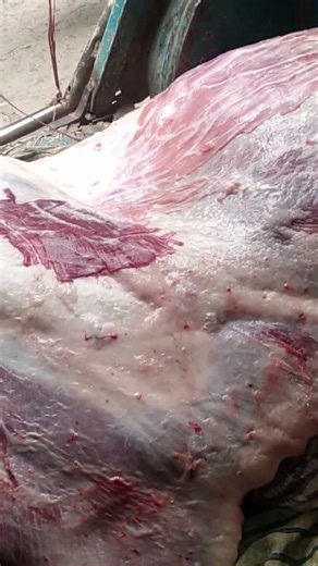 Super Satisfying Cow Meat Cutting ASMR #asmr #shorts