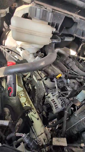 🚚 FWD Transit wet belt package using Genuine Ford Parts and Fluids 📦 👨🏻‍⚕️Collected and returned from you or done at your home/work 🏠 * Note we allow 12 hours minimum for sealant to dry before filling with oil so return the start of the following day to finish the job * £1350 incl vat 💰 🔺 Price valid within a 20 mile radius of Dersingham 🔺 📃 This includes a Wet belt and oil pump belt, tensioner, timing cover with crankshaft seal,, sump and sump plug, primer and sealant, oil and oil filt