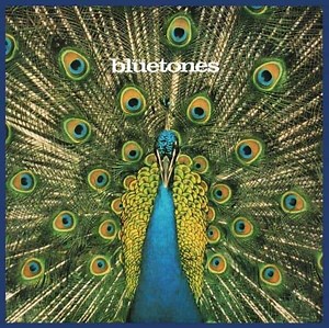 The Bluetones: Expecting to Fly – Box Set review