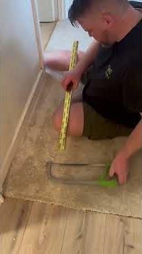 ✅ The perfect transition 🙌🏻Carpet to Laminate #flooring #howto #diy #teirnanmccorkell #fup