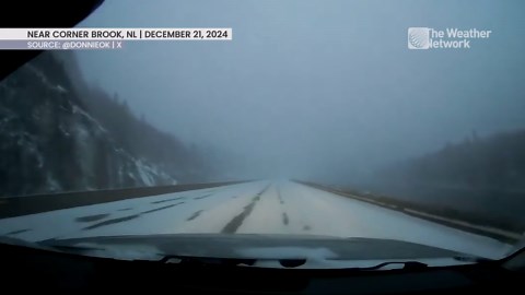 Navigating through the thick snowfall in the Corner Brook area