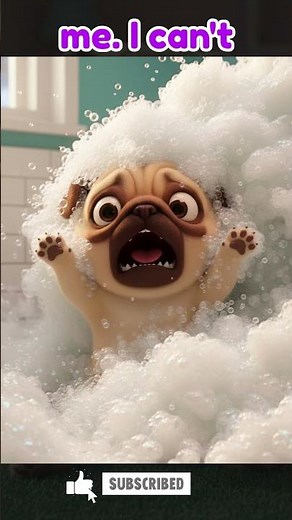 🔥The Exploding Bubble Bath!🐶😹#dog#cat#puppy#kitty #pug #USAshorts #humor #funny #viralshorts #shorts