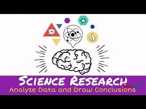 Analyze Data and Draw Conclusions