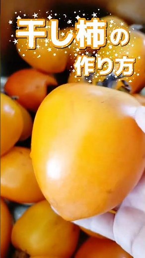 大玉渋柿で作る!おいしく仕上がる干し柿のコツ✨#干し柿 #渋柿#保存食#秋の味覚#手作りおやつ#おいしく仕上げるコツ
