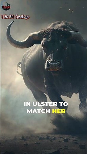 The Epic of Táin Bó Cuailnge: A Legendary Tale from Irish Folklore. #Cuailnge #Táin #Irish #Folklore