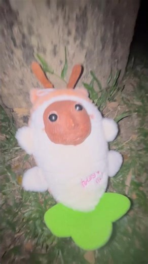 This toy is literally begging for affection #emotional #toy