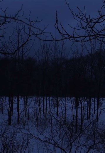 Lithium, Prozac & Emotional Numbness