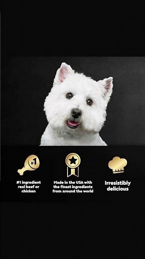 Unleash the Flavor with Cesar Wet Dog Food!