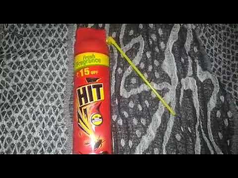 Review : How to use HIT cockroach killer spray |