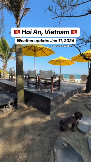 Max | Southeast Asia Travel + Life Abroad on Instagram: "MORE INFO BELOW 👇👇👇 After a month exploring Thailand and visiting family in the UK, we’re so excited to be back in Hoi An!! As you can see, the sun is shining and the beaches are back to normal ☀️🌴🎉 If you were worried about visiting after the recent historic Hoi An floods from October and November, please know that the locals are familiar with this type of weather and had the touristy areas of the town back in just a few days 🙏 Whil