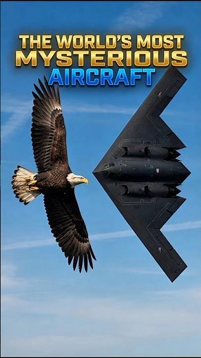 The World’s Most Mysterious Aircraft: The Engineering Secrets of the B-2 Bomber
