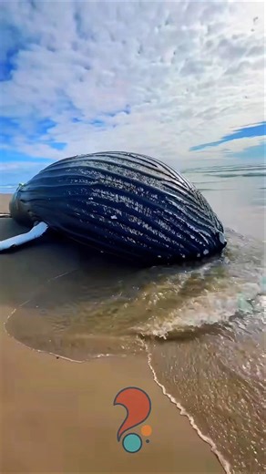 The Science of Exploding Animals