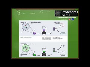 Información hereditaria - Experimento de Hershey y Chase