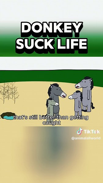 Exploring Donkey Life in the African Wilderness