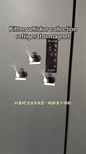 Unique Kitten Whisker Collection Refrigerator Magnet