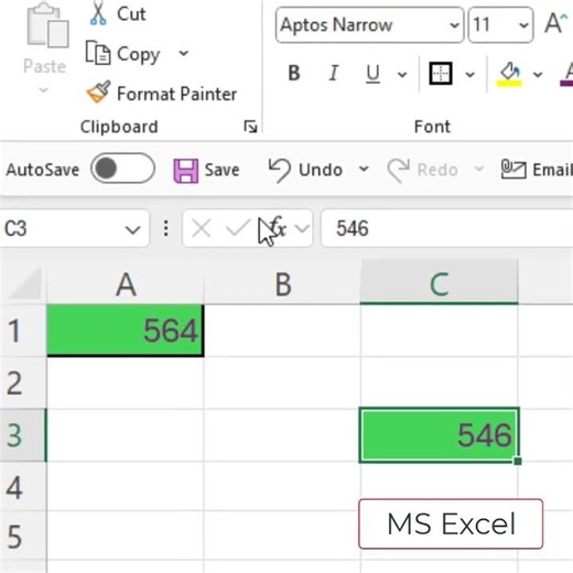 MS Excel Using Format Painter to Copy Cell Formatting