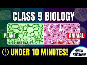 Class 9 Biology Tissues in 10 Minutes NCERT Explained Exam Ready