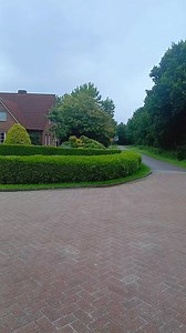 Sometimes, you just need to pause and look outside. 🌿🍏#relax #nature #calm #germany #travel | Hengfoody