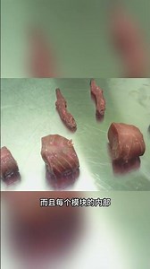 World's first adaptive AI modular robot #SciencePopularization