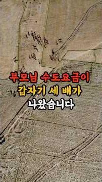 수도요금이 3배가 나온 부모님 집. 범인을 잡았습니다. #가족갈등 #감동사연 #노후이야기 #오디오북 #실화사연 #감동실화 #감동스토리