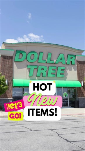 Amazing Finds at Dollar Tree: New Items and Haul