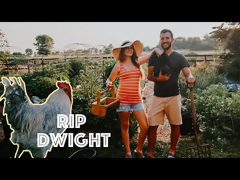 What Life is Really Like on a Small Farm