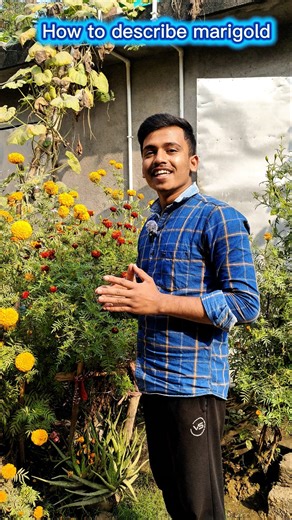 How to Describe a Flower in Simple English 🌼