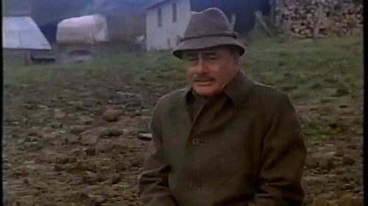 Summer Wishes Winter Dreams 1973