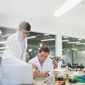 The evolution of employment and skills in the age of AI