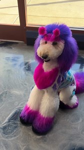 4.6M views · 1.6M reactions | Zoe is always so happy when she gets a new haircut  Use our code ZOE for a discount on all pet safe dye products @opawz 濾 Use our code MUSEDOGSPA for a discount on all grooming products @wahlanimal  #loveit #love #loveher #poodlelove #poodlegram #lisafrank #inspiration #giraffe #create #muse #fyp #fypage #instafamous #dogsofinstagram #instagramdogs #instagramdog | Angela Schoonover | Facebook