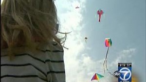 Hundreds take part in Blossom Kite Festival