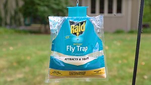 Watch The Raid Disposable Fly Trap on Amazon Live