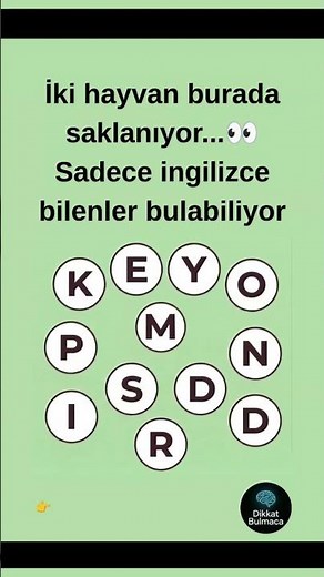 👉 Bu Bulmacayı � Çözemiyor! 2 Hayvanı Bulabilir misin? 🧠 Dikkatini Test Et! | Zeka