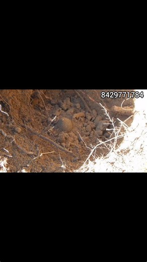 Treasure Finding Machine | Gold Detector Machine | Treasure Finding Dowsing Rods with Metal Detector #treasurefindingmachine #treasurehuntingdowsingrods #metaldetectorfindtreasure #goldcoinsfindmetaldetector | Gold Field Hunting