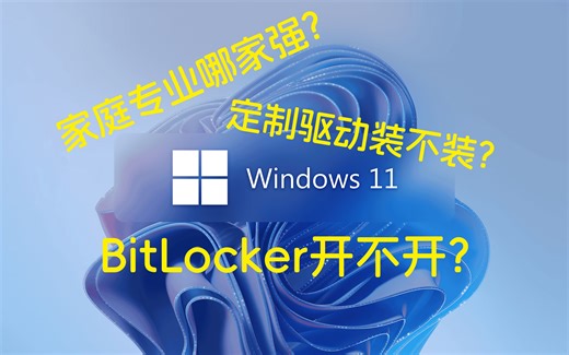 Windows性能解析: 版本差异、驱动需求与BitLocker安全