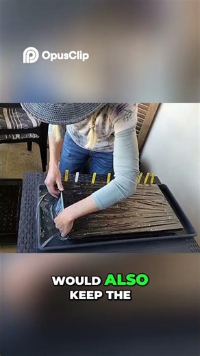 DIY Seed Tray - Keep Moisture In!