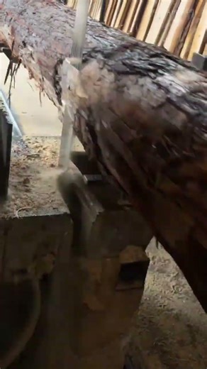 Cutting a Large Log with a Bandsaw for Precise Woodworking Preparation