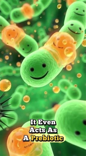 🚨 Honey: Superfood or Sugar Bomb? (The Truth)